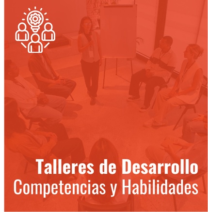 Acessar página de Talleres de Desarrollo
